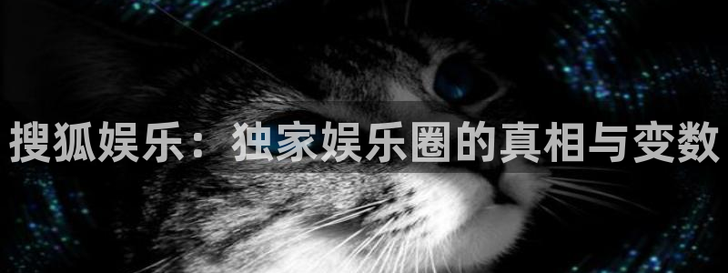 泰达娱乐游戏官网平台入口