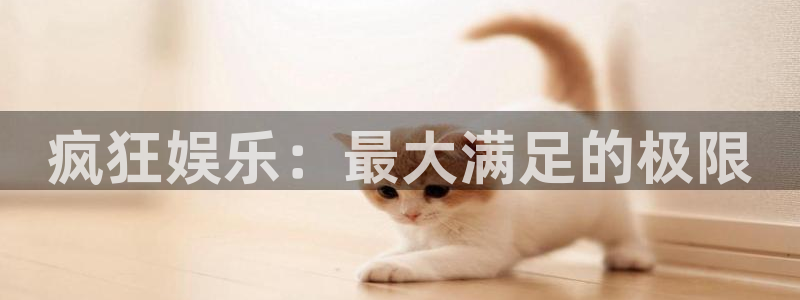 泰达娱乐下载