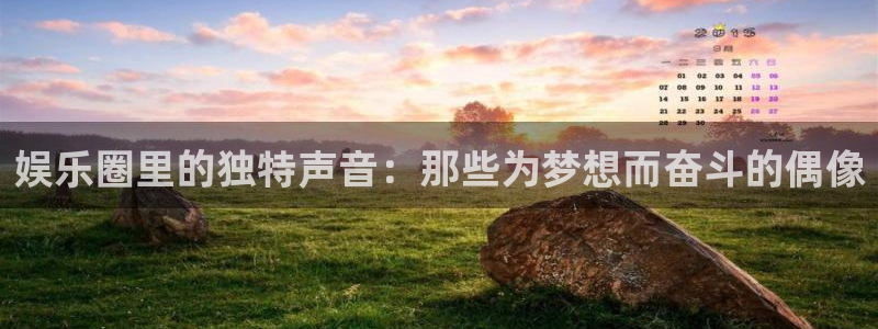 南宫泰达娱乐：娱乐圈里的独特声音：那些为梦想而奋斗的偶像