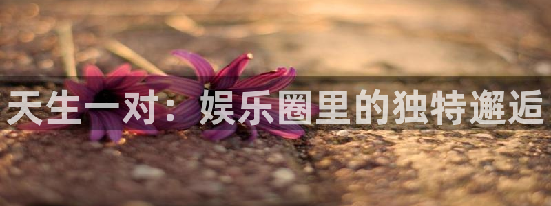 泰达娱乐下载地址：天生一对：娱乐圈里的独特邂逅