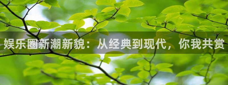 泰达娱乐怎么下载：娱乐圈新潮新貌：从经典到现代，你我共赏