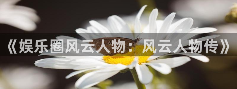 泰达娱乐怎么下载：《娱乐圈风云人物：风云人物传》