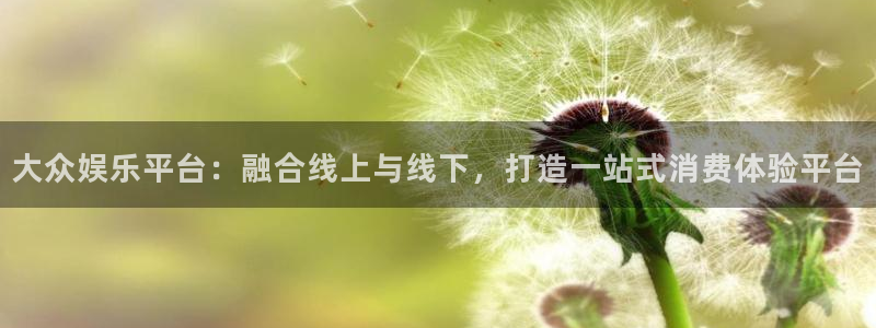 泰达娱乐是啥：大众娱乐平台：融合线上与线下，打造一站式消费体验平台