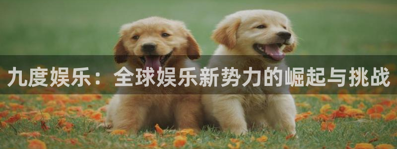 泰达娱乐注册入口与教程：九度娱乐：全球娱乐新势力的崛起与挑战