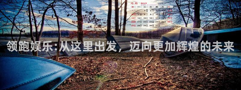 泰达娱乐app