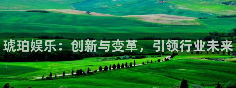 泰达娱乐网站登录流程：琥珀娱乐：创新与变革，引领行业未来
