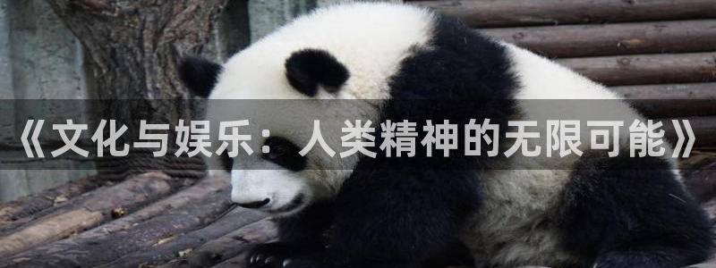 泰达娱乐退款怎么退