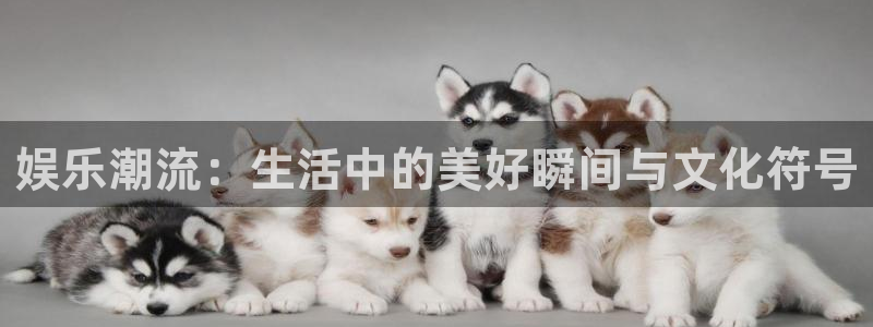 泰达娱乐app官网下载：娱乐潮流：生活中的美好瞬间与文化符号
