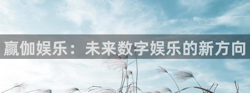 壹号大舞台28国际大舞台：赢伽娱乐：未来数字娱乐的新方向