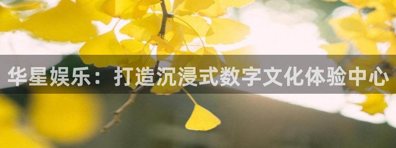 泰达娱乐平台官方入口下载：华星娱乐：打造沉浸式数字文化体验中心