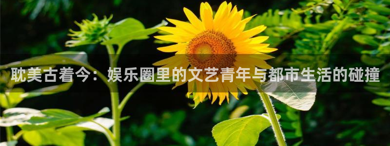 泰达娱乐是啥：耽美古着今：娱乐圈里的文艺青年与都市生活的碰撞