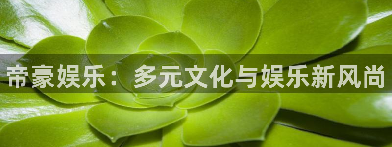 泰达娱乐强制退款流程详解：帝豪娱乐：多元文化与娱乐新风尚
