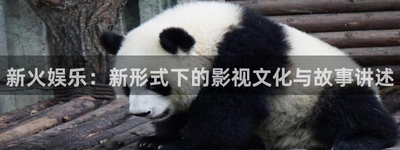 壹号平台下载安装官网：新火娱乐：新形式下的影视文化与故事讲述