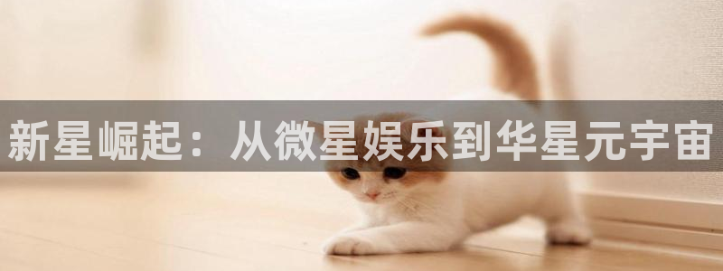 泰达娱乐下载：新星崛起：从微星娱乐到华星元宇宙