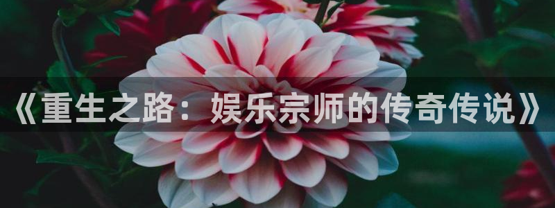 电子游戏泰达娱乐：《重生之路：娱乐宗师的传奇传说》