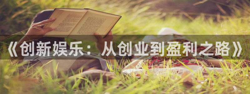 泰达娱乐游app：《创新娱乐：从创业到盈利之路》