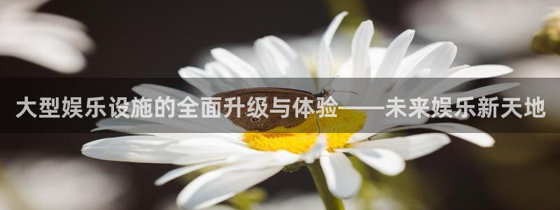 泰达娱乐游戏