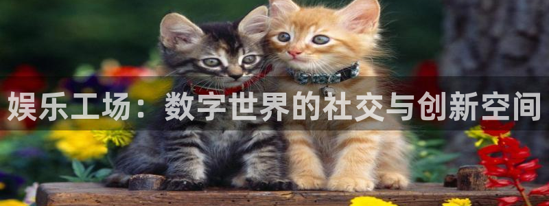 壹号app官网：娱乐工场：数字世界的社交与创新空间
