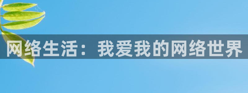 泰达娱乐怎么下载：网络生活：我爱我的网络世界
