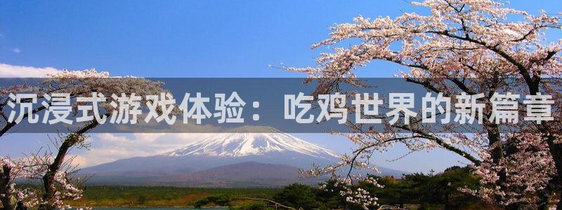 泰达娱乐登录：沉浸式游戏体验：吃鸡世界的新篇章