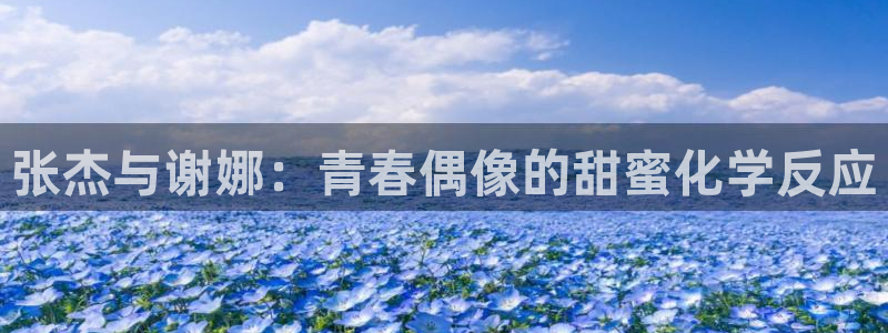 泰达娱乐电玩网官网入口：张杰与谢娜：青春偶像的甜蜜化学反应