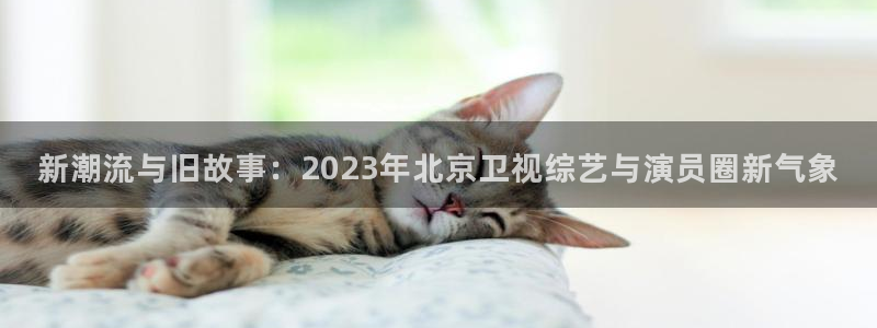 壹号电子娱乐app下载官网：新潮流与旧故事：2023年北京卫视综艺与演员圈新气象