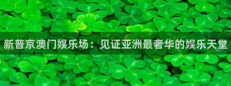 泰达娱乐电子娱乐官网下载：新普京澳门娱乐场：见证亚洲最奢华的娱乐天堂