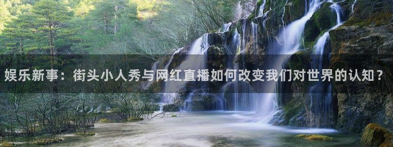 壹号大舞台娱乐传媒：娱乐新事：街头小人秀与网红直播如何改变我们对世界的认知？