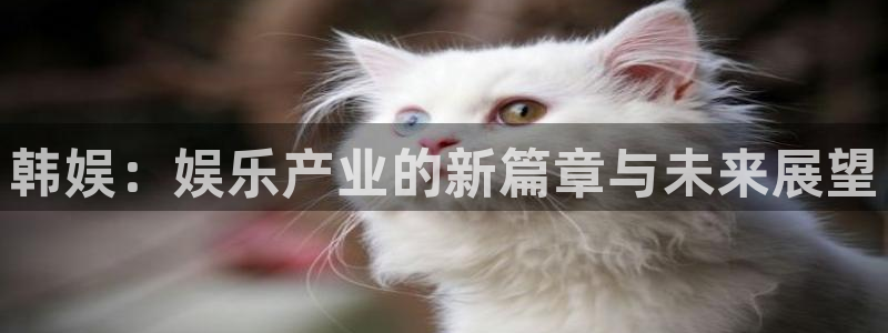 泰达娱乐官网地址：韩娱：娱乐产业的新篇章与未来展望