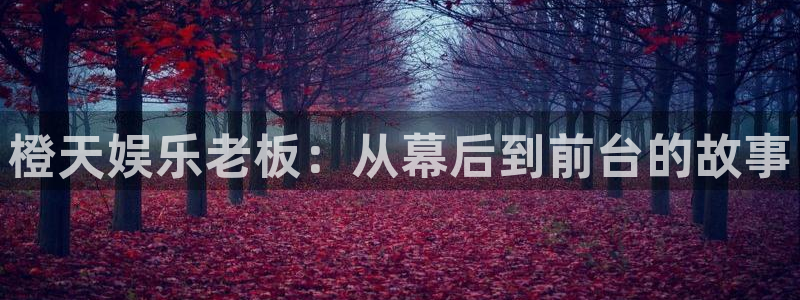 壹号app下载：橙天娱乐老板：从幕后到前台的故事
