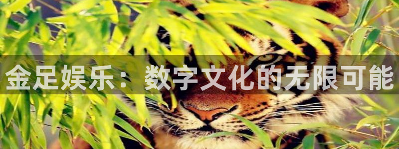 下载泰达娱乐app：金足娱乐：数字文化的无限可能