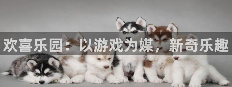 泰达娱乐手机版下载：欢喜乐园：以游戏为媒，新奇乐趣