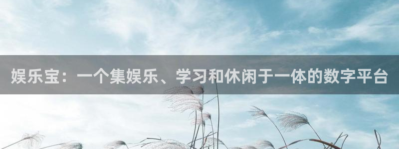 泰达娱乐手机版下载：娱乐宝：一个集娱乐、学习和休闲于一体的数字平台
