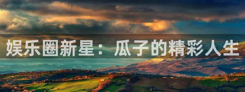 泰达娱乐是什么：娱乐圈新星：瓜子的精彩人生