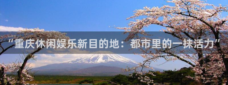 泰达娱乐是啥：“重庆休闲娱乐新目的地：都市里的一抹活力”