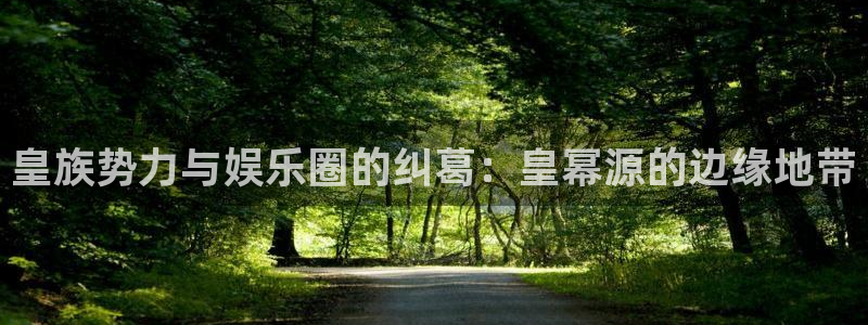 泰达娱乐软件：皇族势力与娱乐圈的纠葛：皇幂源的边缘地带